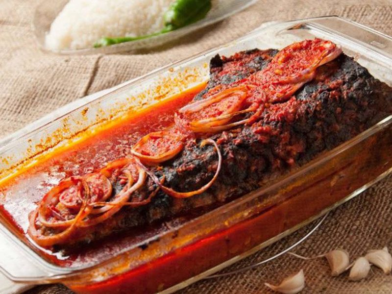 Croaker Fish