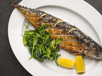 Mackerel Fish