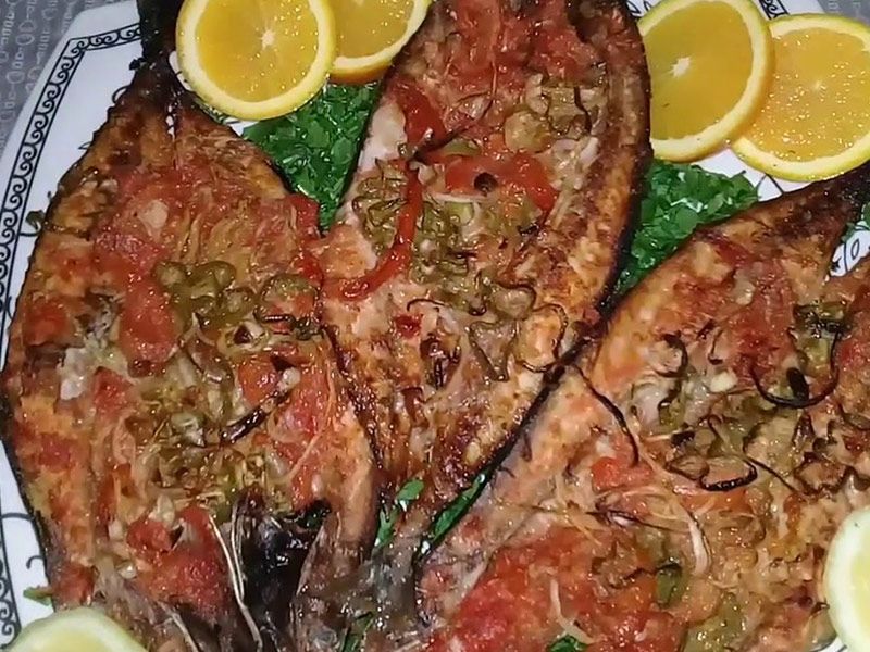 Singary Mackerel