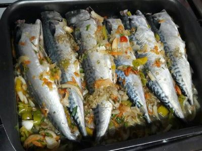 Mackerel Fish Tray
