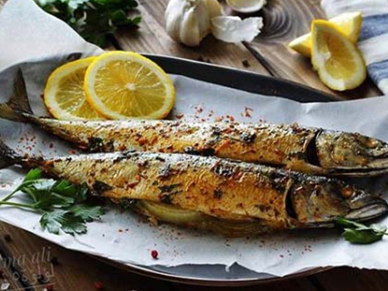 Mackerel
