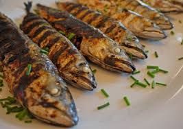 Mackerel Fish