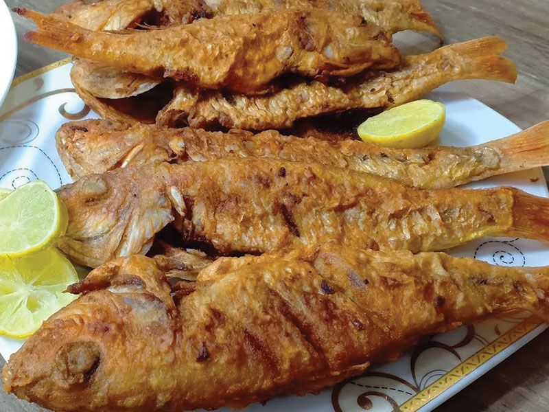 Sea Bream Fish