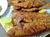 Sea Bream Fish - Kilo