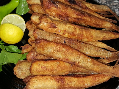 Macaroni fish