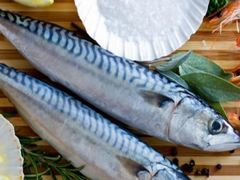 Mackerel