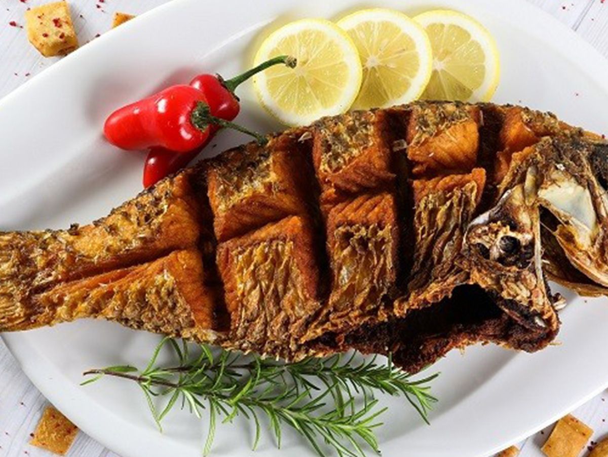 ِA Kilo Of Coral Trout