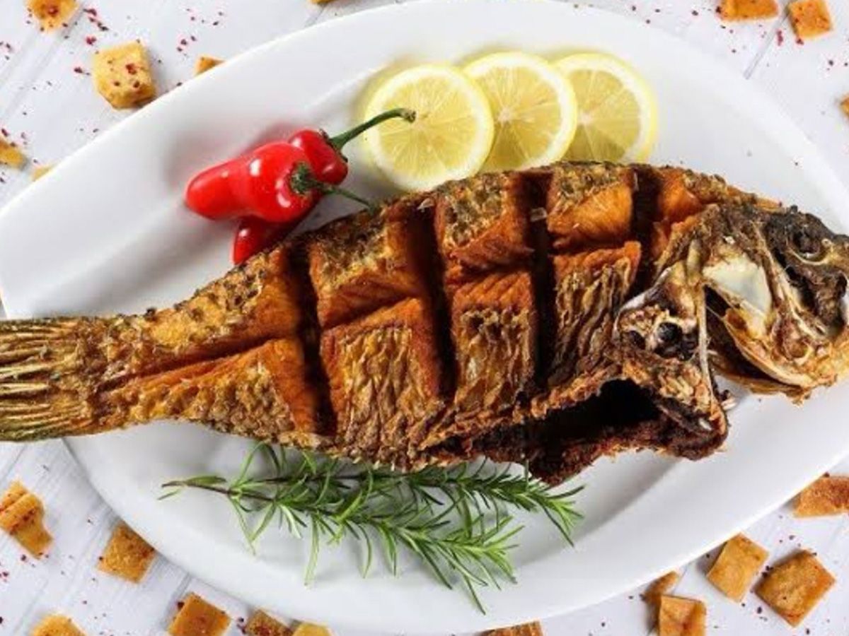 Coral Trout Fish
