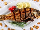 Coral Trout Fish