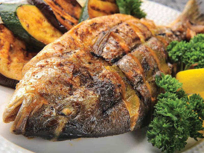 Grouper Fish
