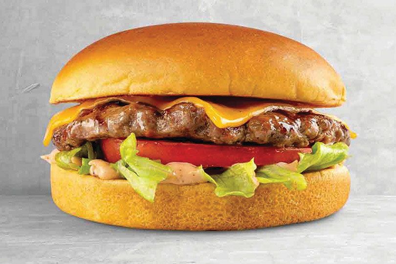 Burger Sandwich