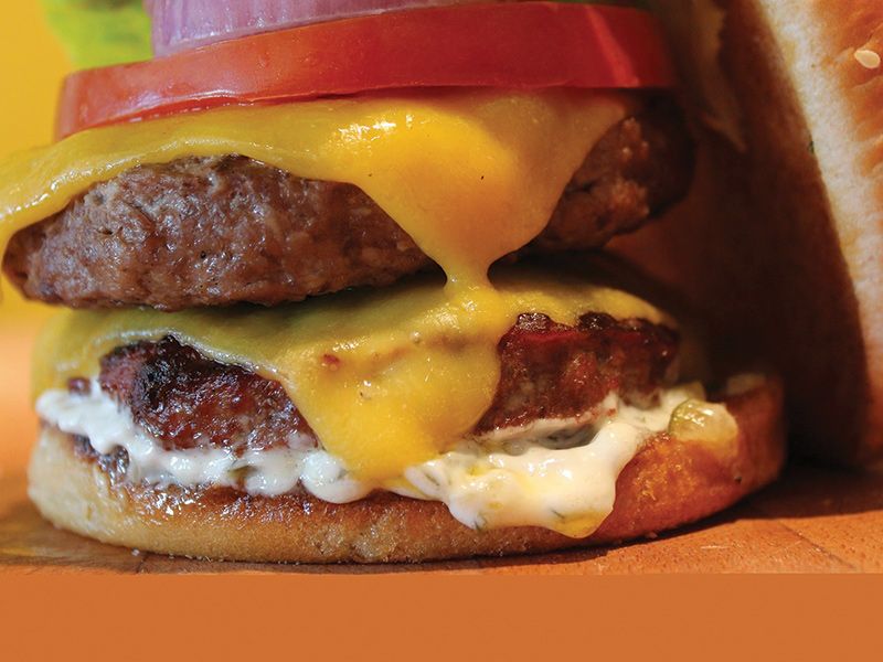 Double Burger Sandwich