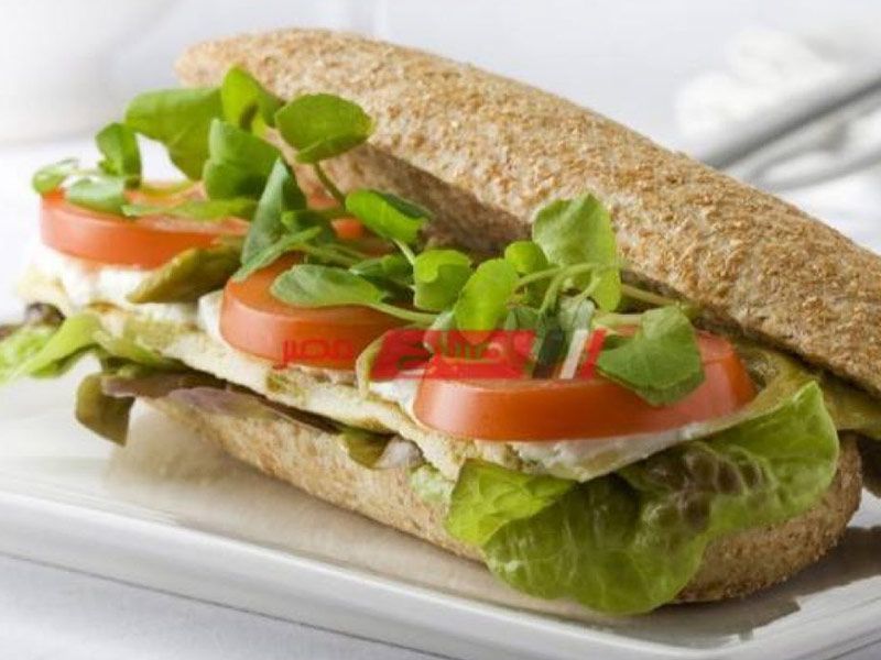 Cheese With Tomatoes And Vegetables Sandwich