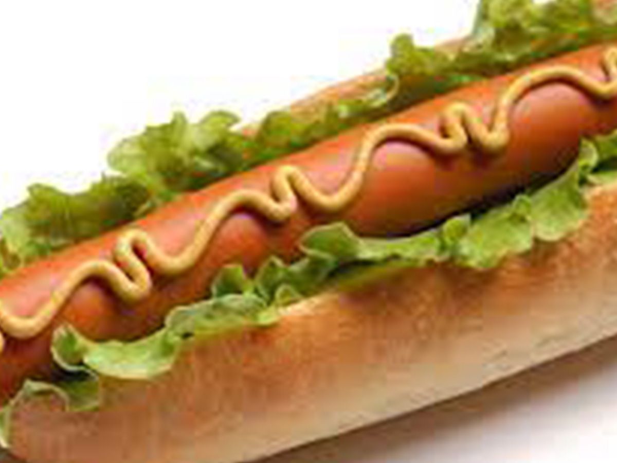 Plain Hot Dog Sandwich