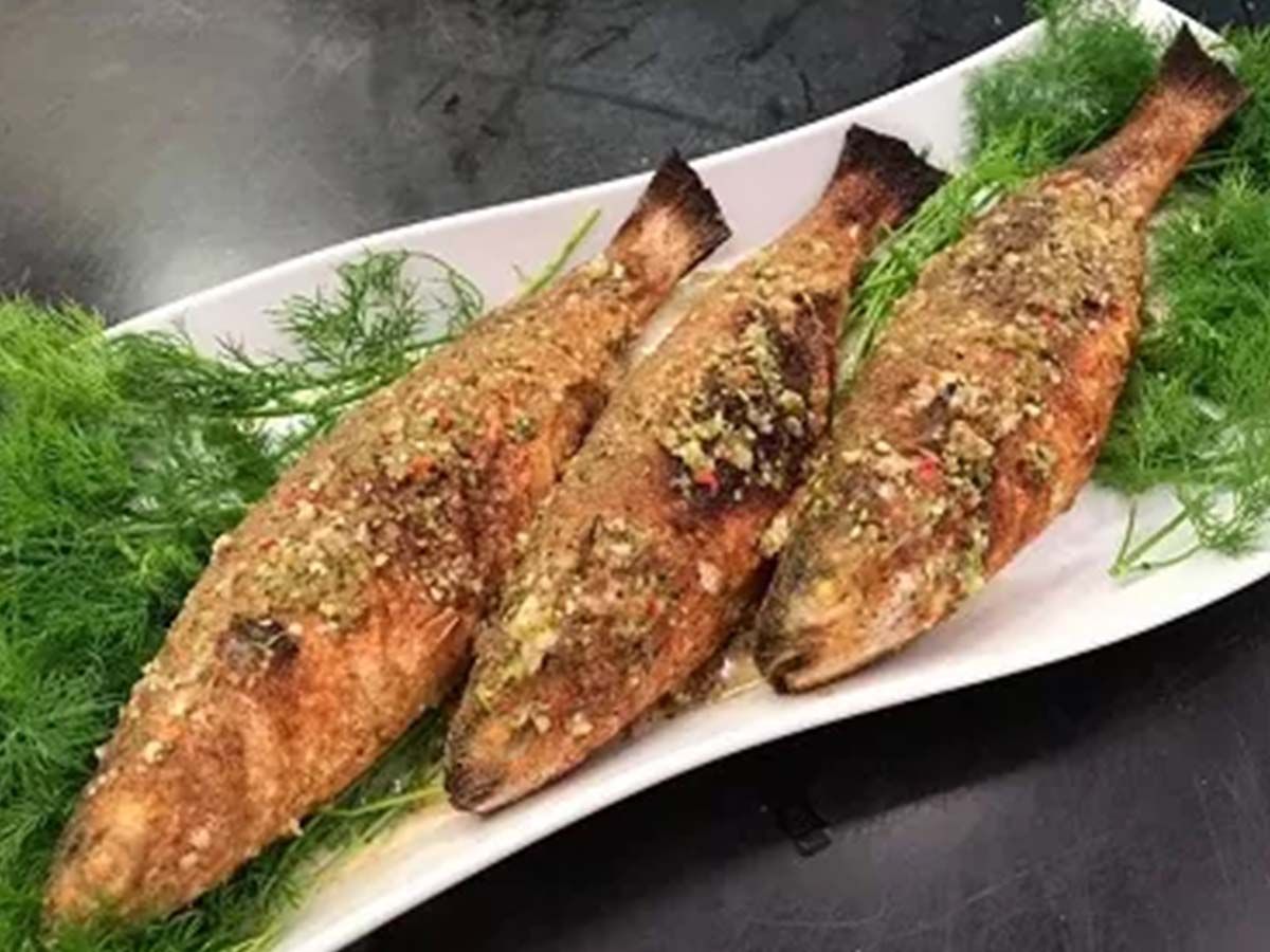 Keeled Mullet fish