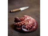 Octopus Sashimi