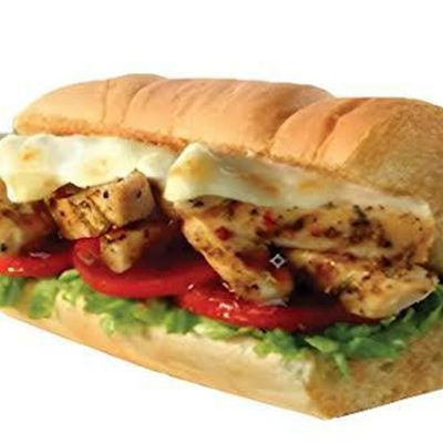 Grilled chicken breasts slices Sandwich