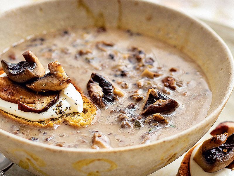 Chicken Soup With Mushroom
