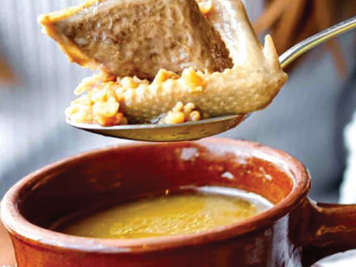 Pigeon Soup