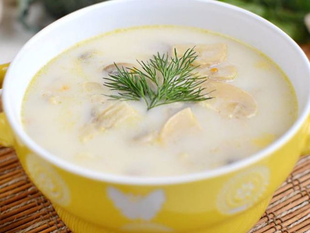 Chicken Mushroom Cream Soup