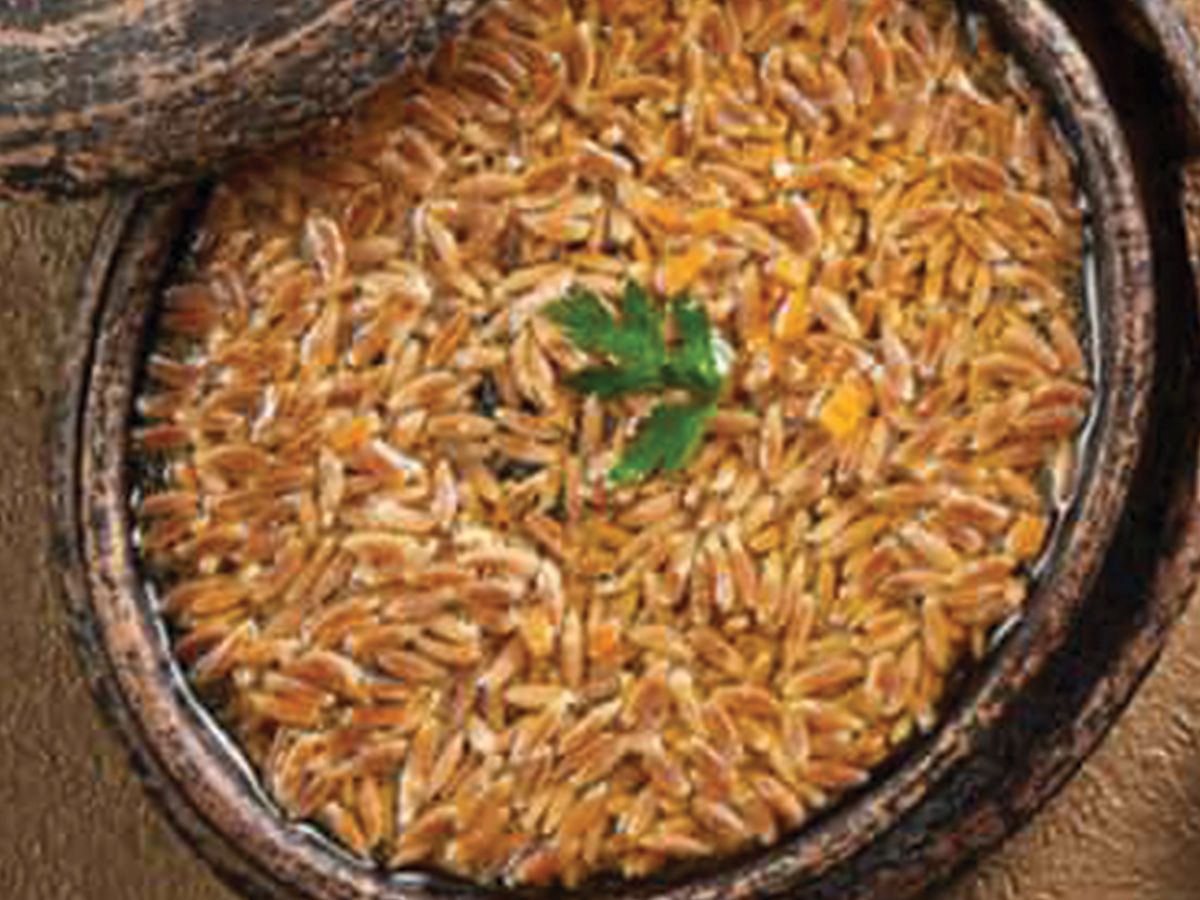 Orzo Soup
