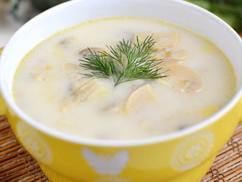 Chicken Cream With Mushroom Soup