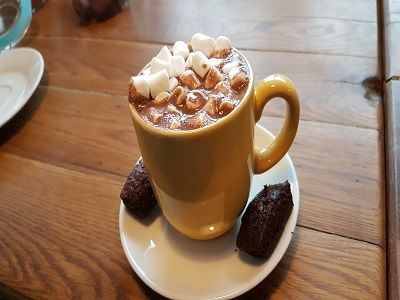 Hot Chocolate With Marshmallow