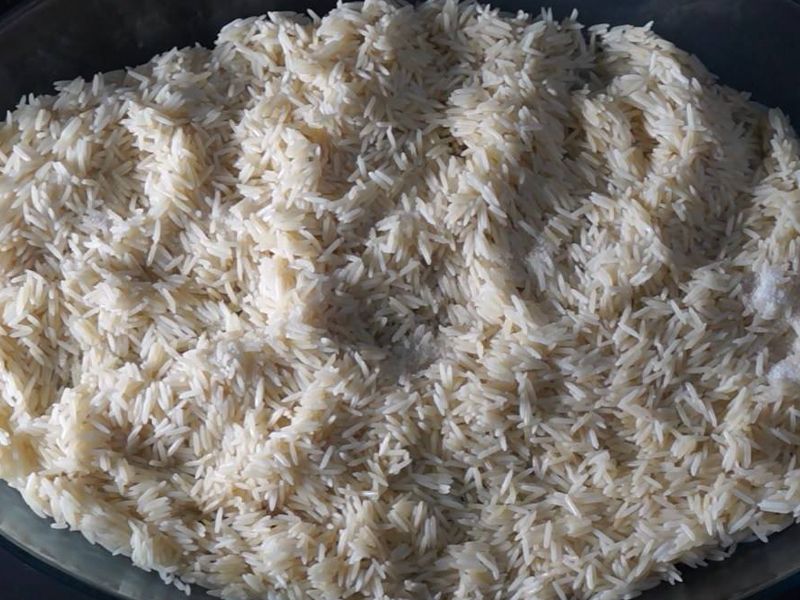 Rice Tray