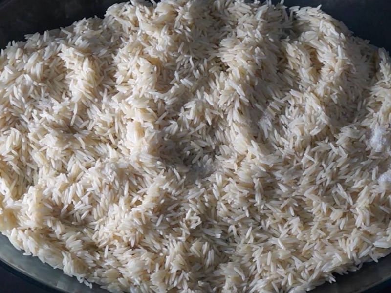 Rice Tray