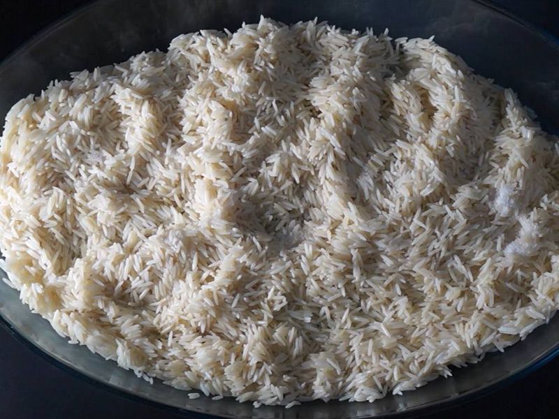 Rice Tray
