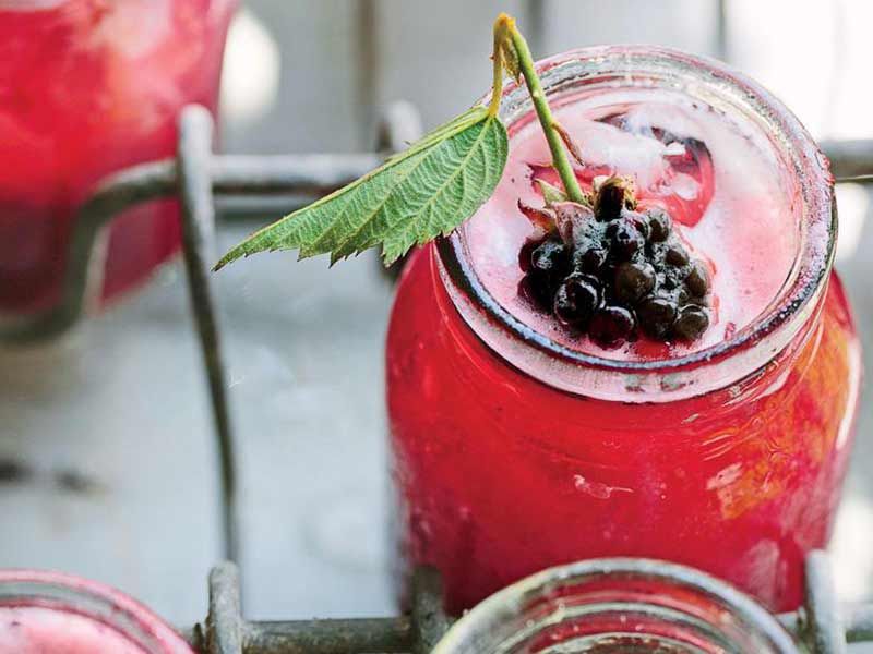 Blueberry Soda Drink