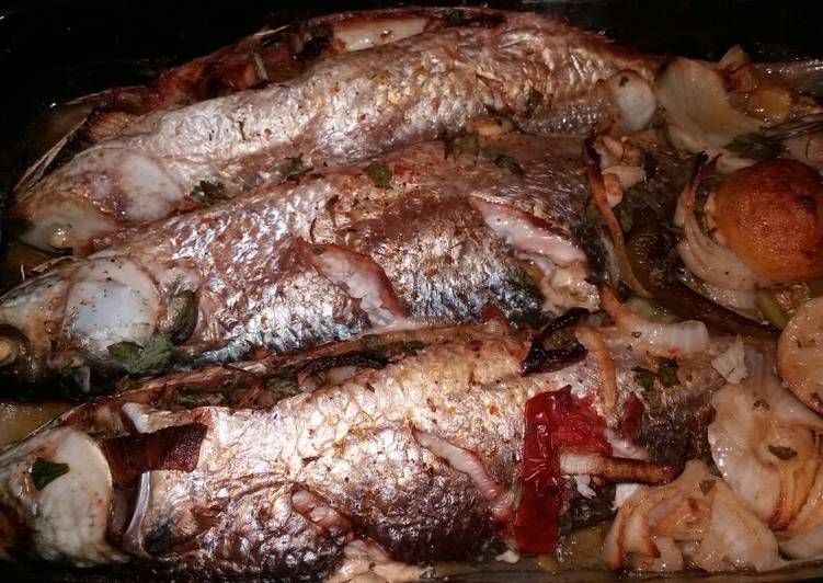 Grey Mullet Fish With Seafood Casserole