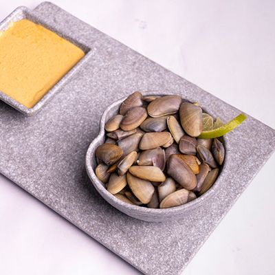 Arca Noae Dish