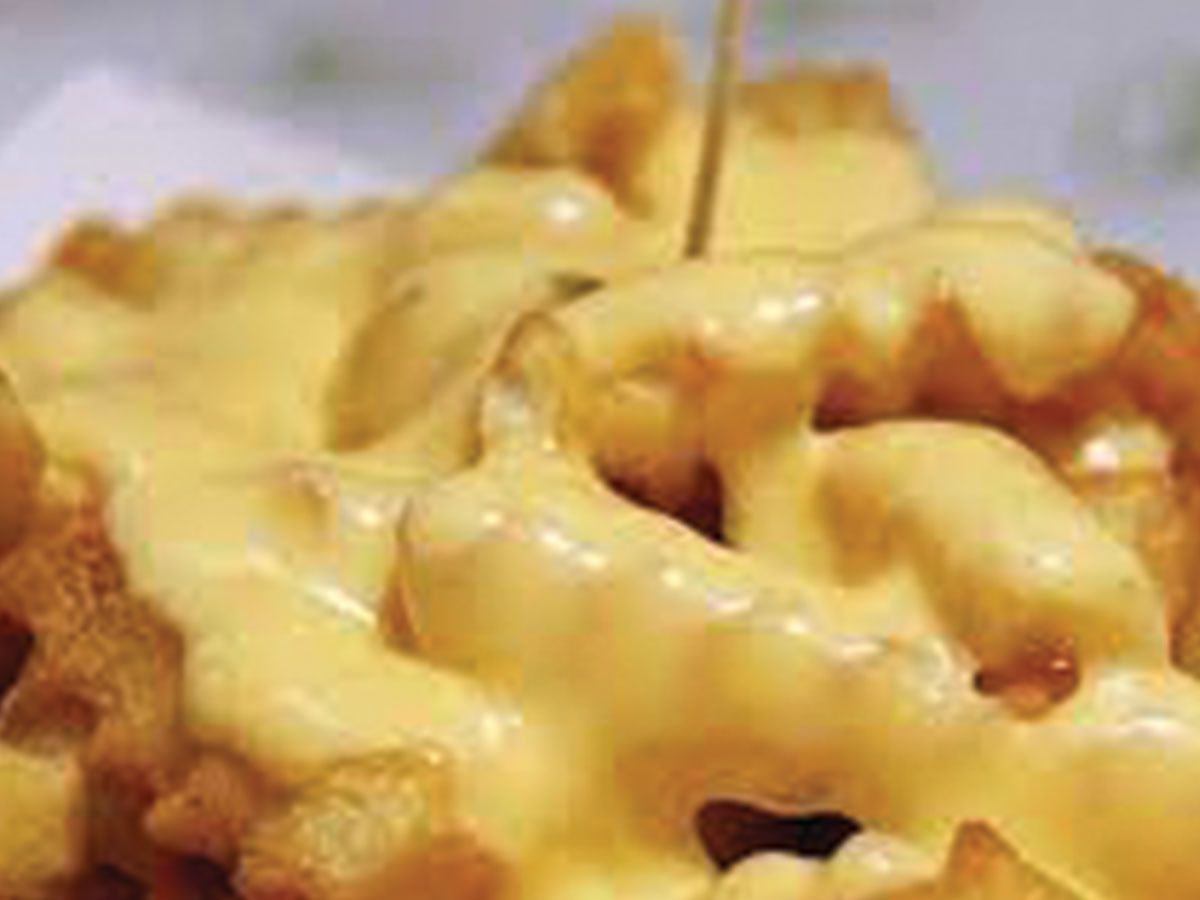 Cheddar Sauce fries Dish