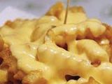 Cheddar Sauce fries Dish
