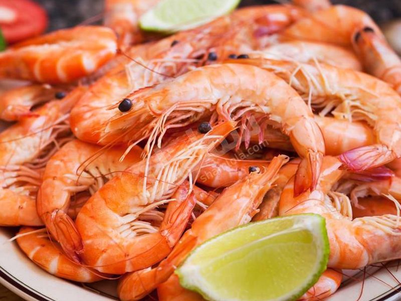 Shrimp kazaz dish