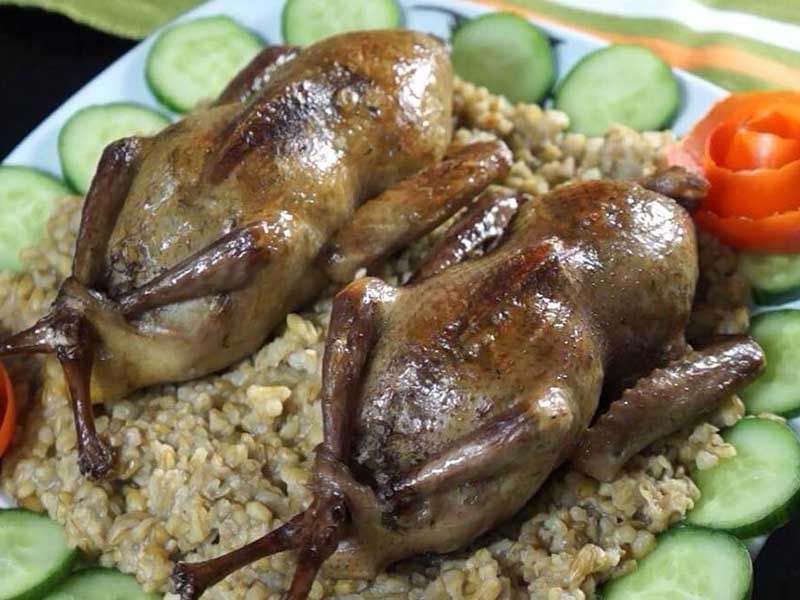 Pigeon Platter - 1 Piece