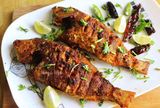 Tilapia Fish