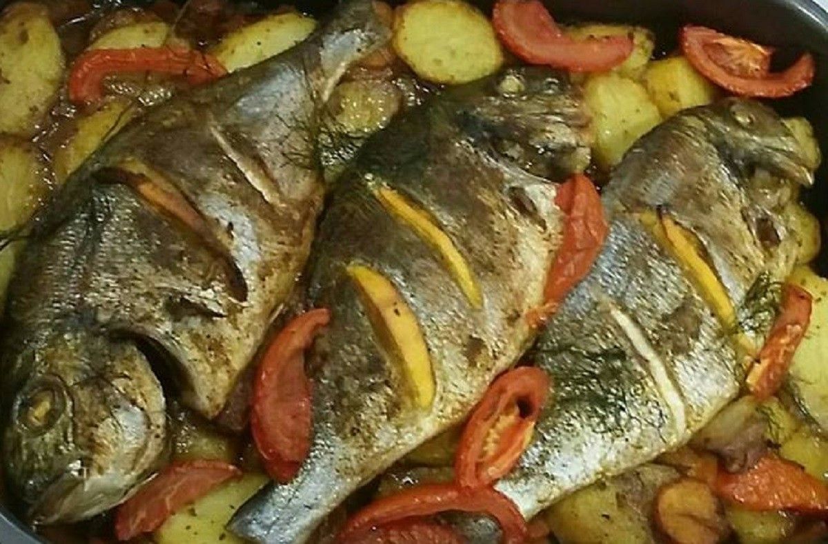 Grouper Fish