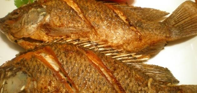 Fried Tilapia Fish