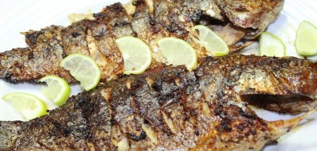 Grilled Tilapia Fish