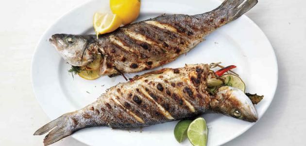 Croaker Fish