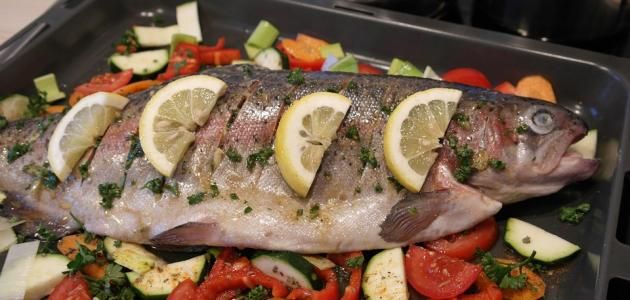 Baladi Zander Fish Kilo