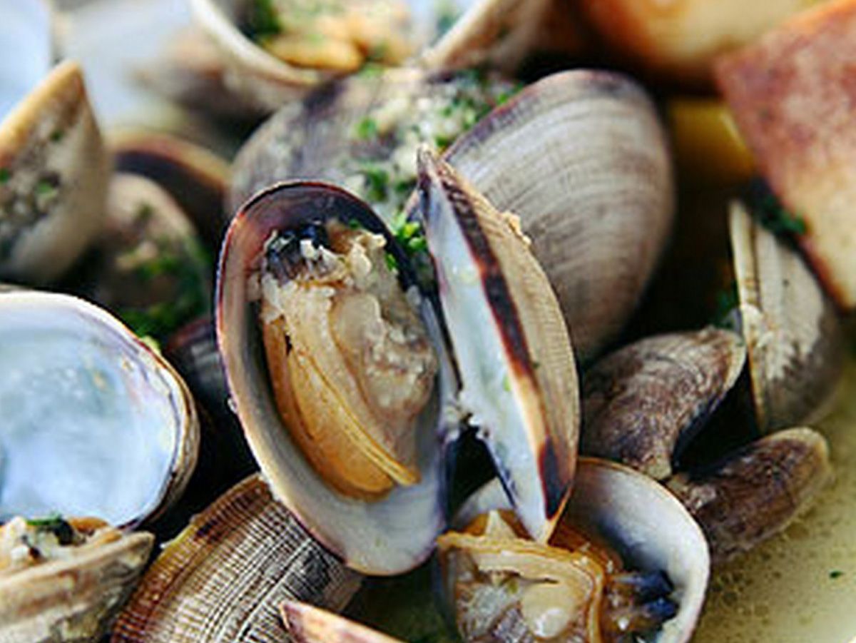 boiled Arca Noae order