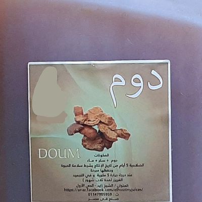 Plain Doum Family Pack
