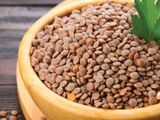 Lentil