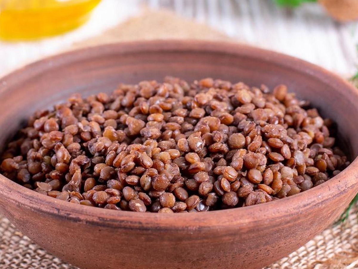 Lentil