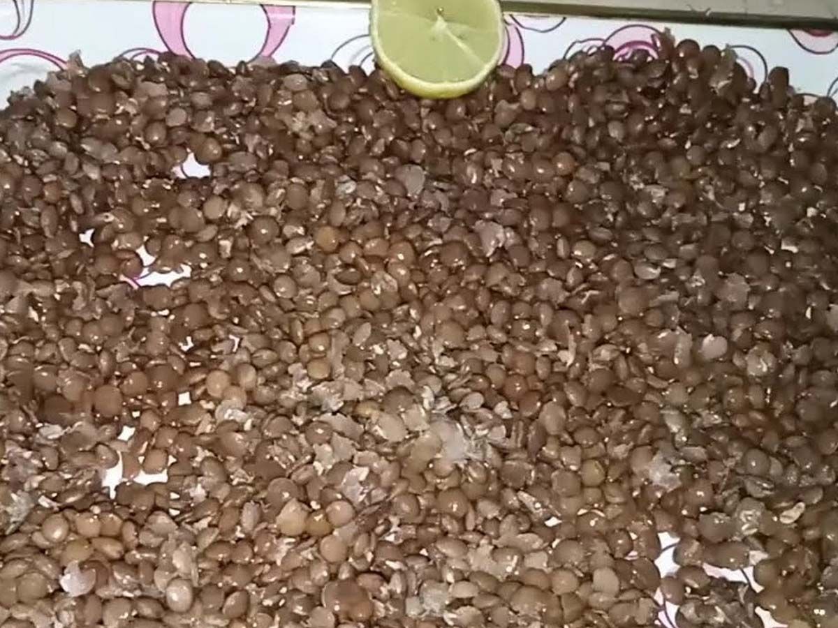 Add lentils