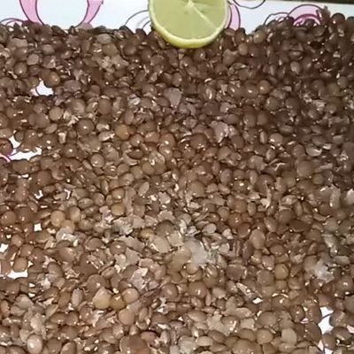 Lentils