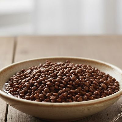 Lentil